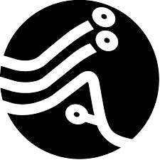 Institut d'Informatique Appliquée